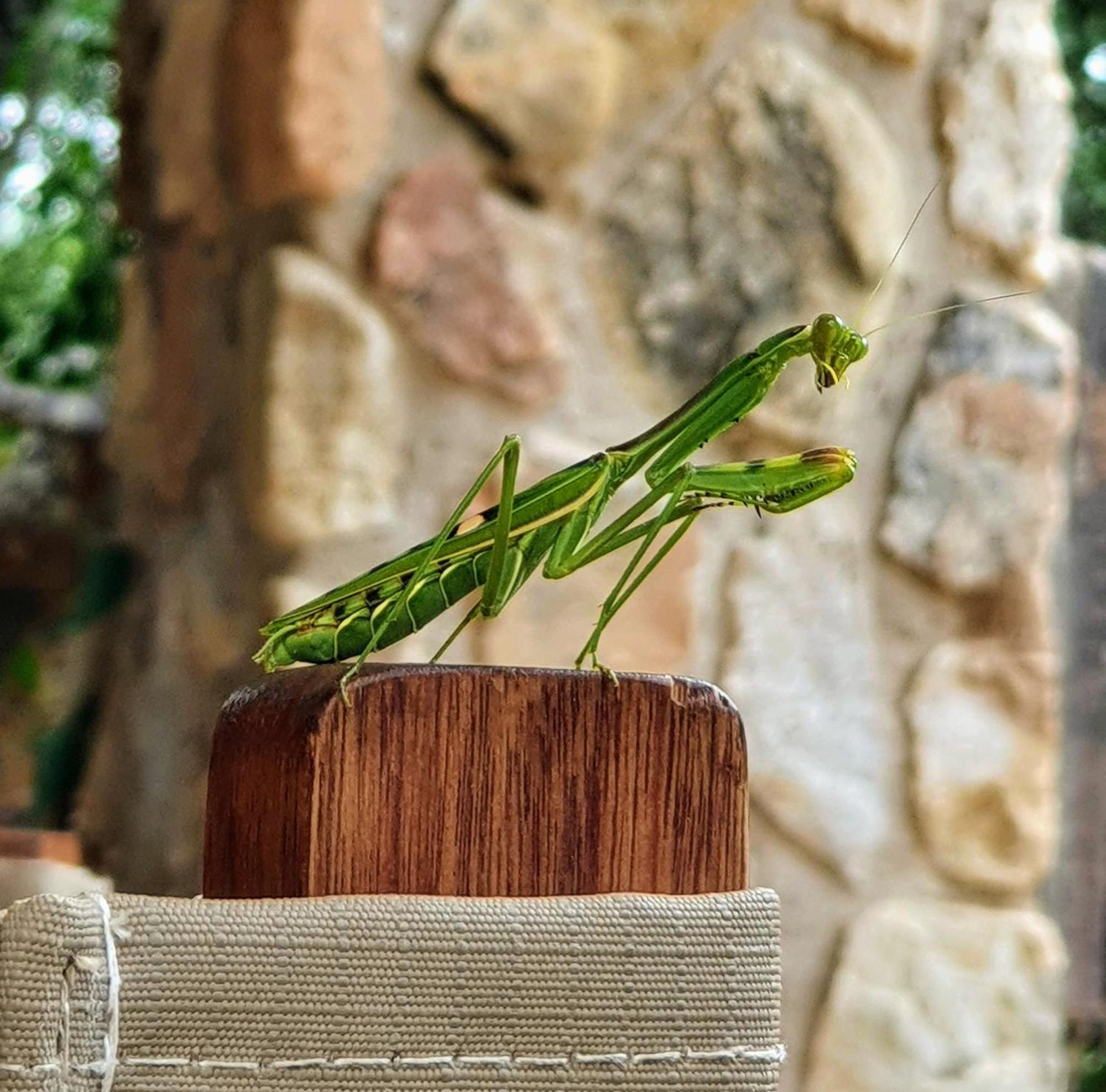 Hasekamp Family Bush Lodge Hoedspruit Zewnętrze zdjęcie