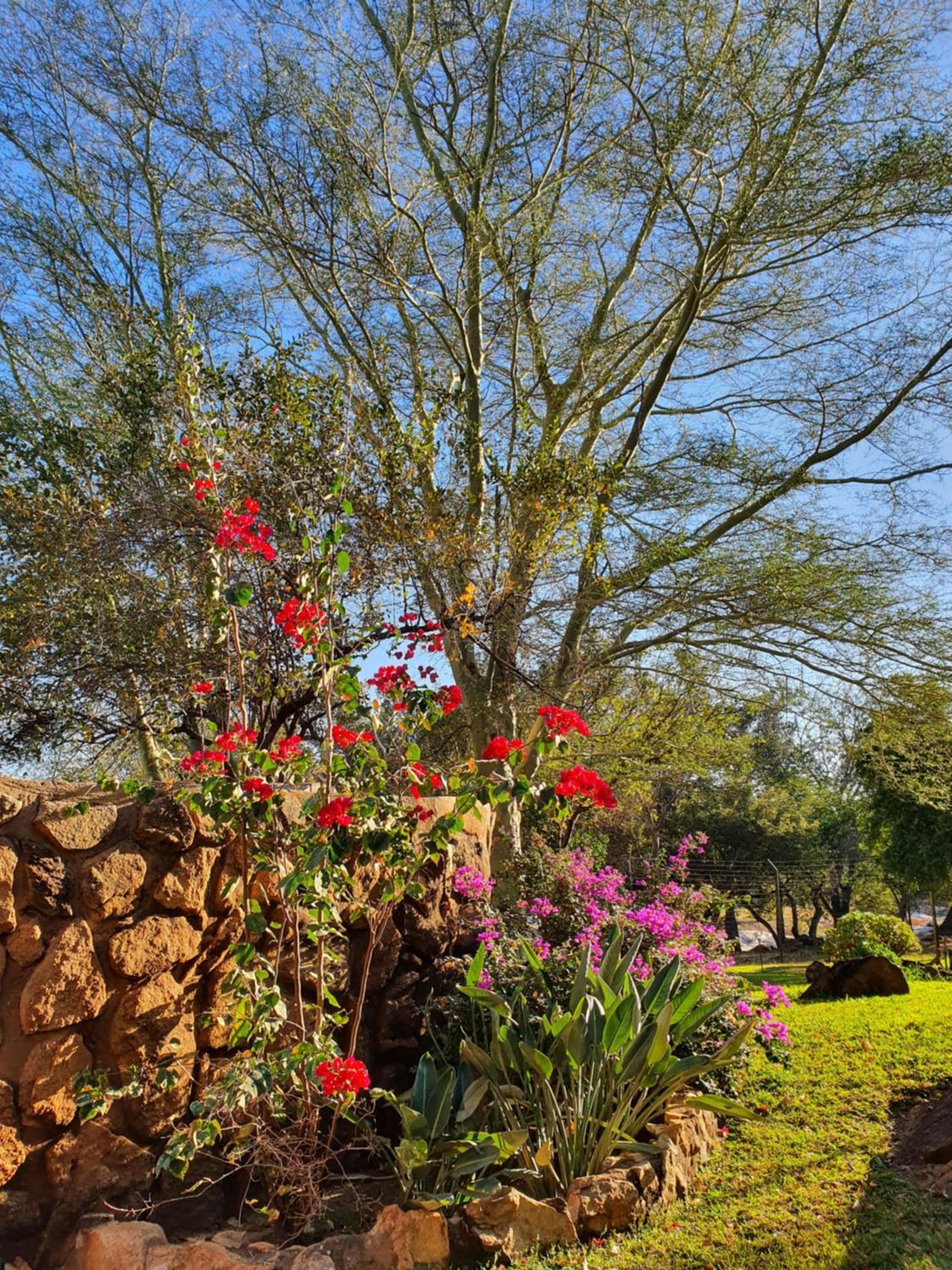 Hasekamp Family Bush Lodge Hoedspruit Zewnętrze zdjęcie