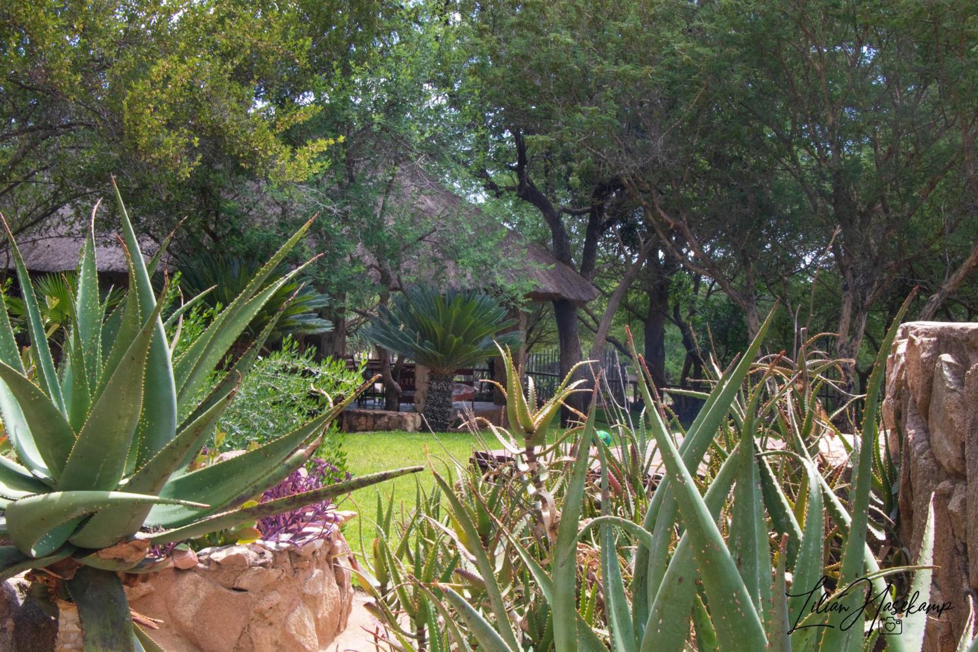 Hasekamp Family Bush Lodge Hoedspruit Zewnętrze zdjęcie