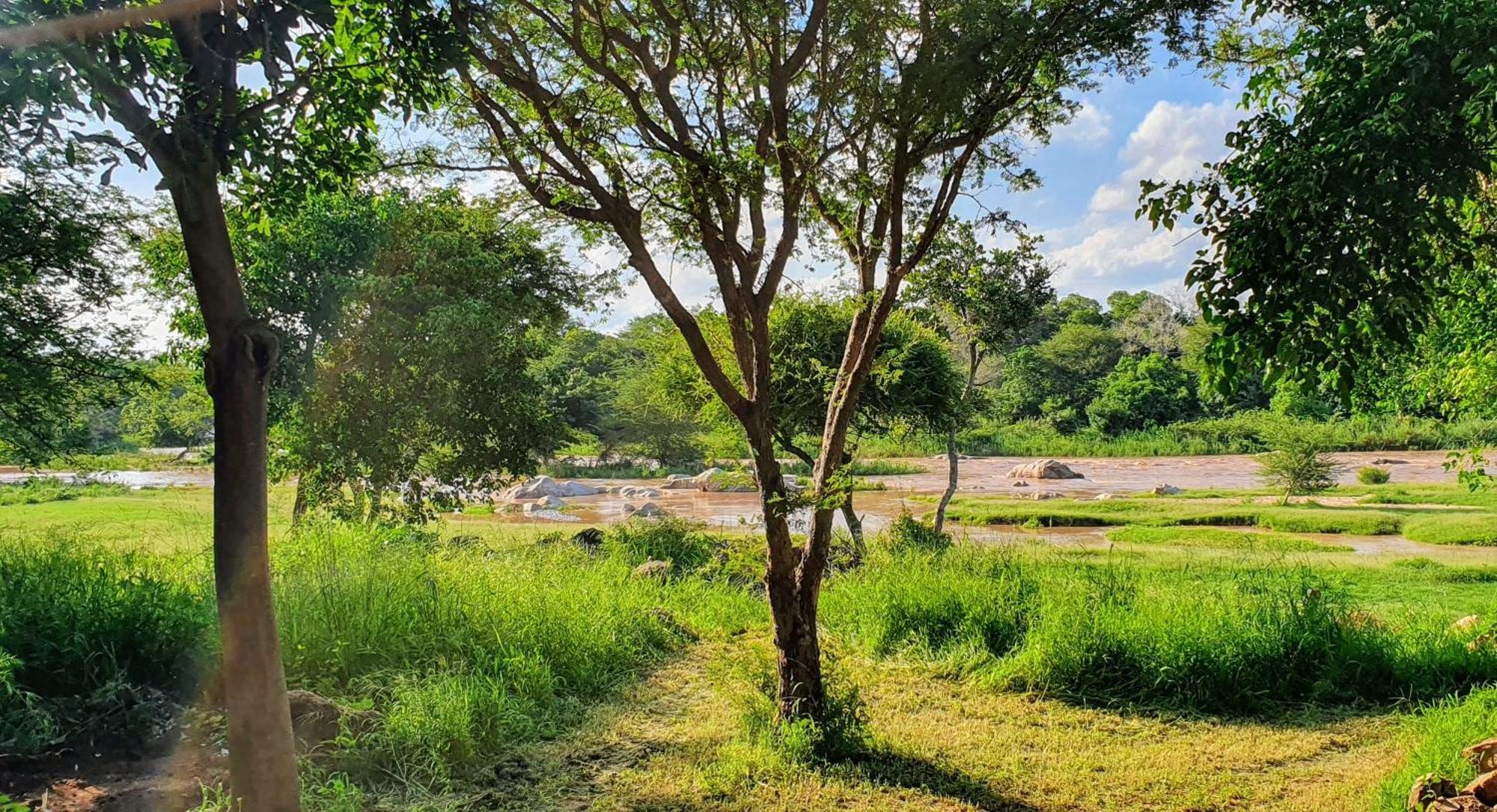 Hasekamp Family Bush Lodge Hoedspruit Zewnętrze zdjęcie