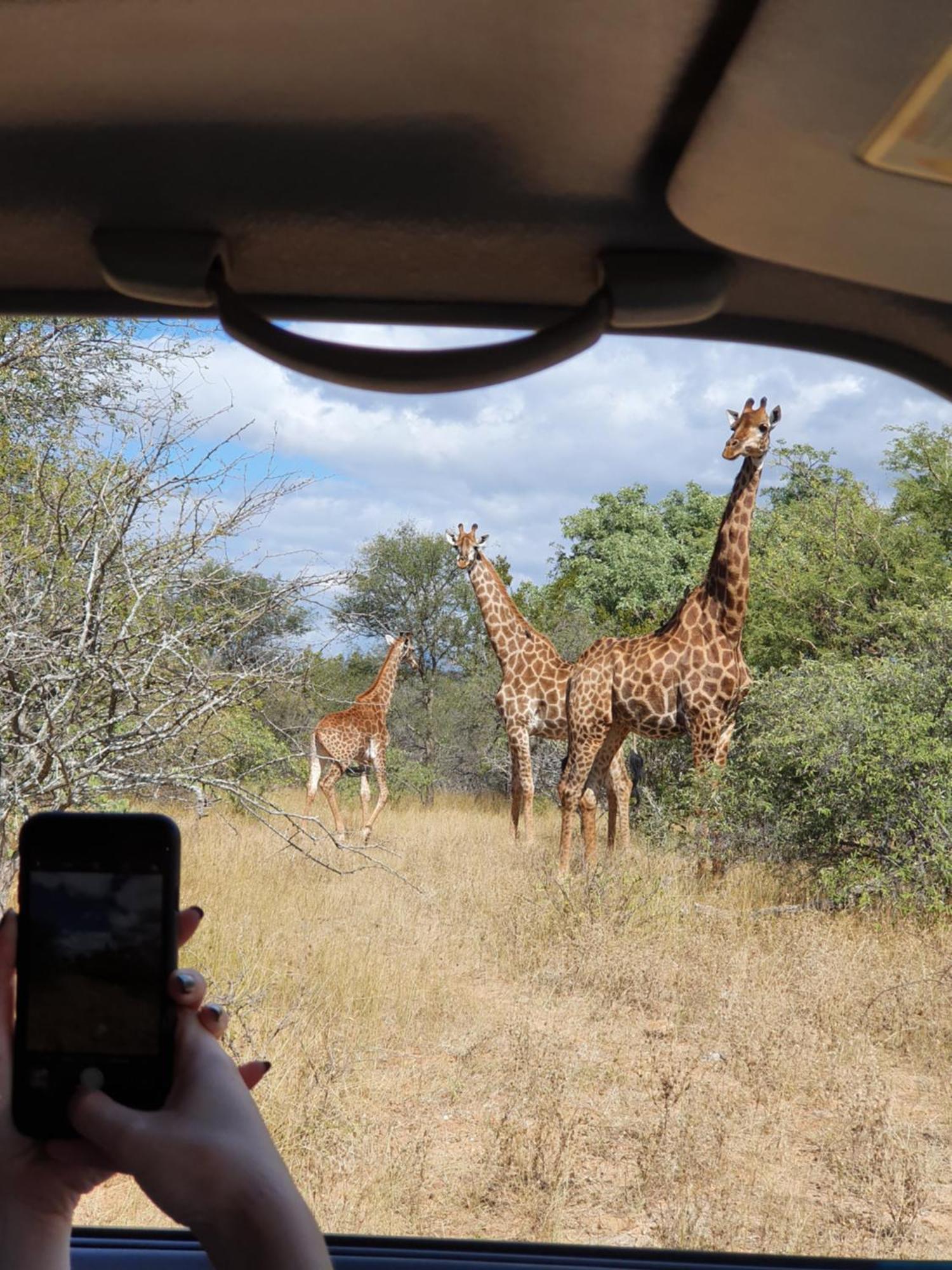 Hasekamp Family Bush Lodge Hoedspruit Zewnętrze zdjęcie