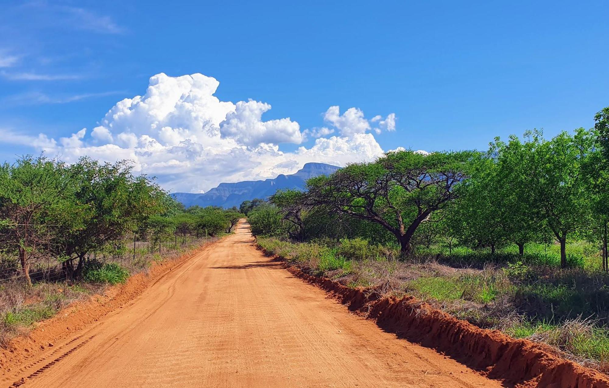 Hasekamp Family Bush Lodge Hoedspruit Zewnętrze zdjęcie